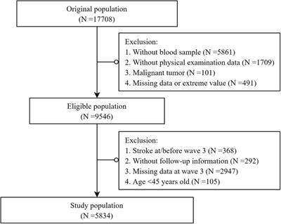 Association between dynamic change patterns of body mass or fat mass and incident stroke: results from the China Health and Retirement Longitudinal Study (CHARLS)